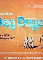 狂欢之后/Dog Days(1970)